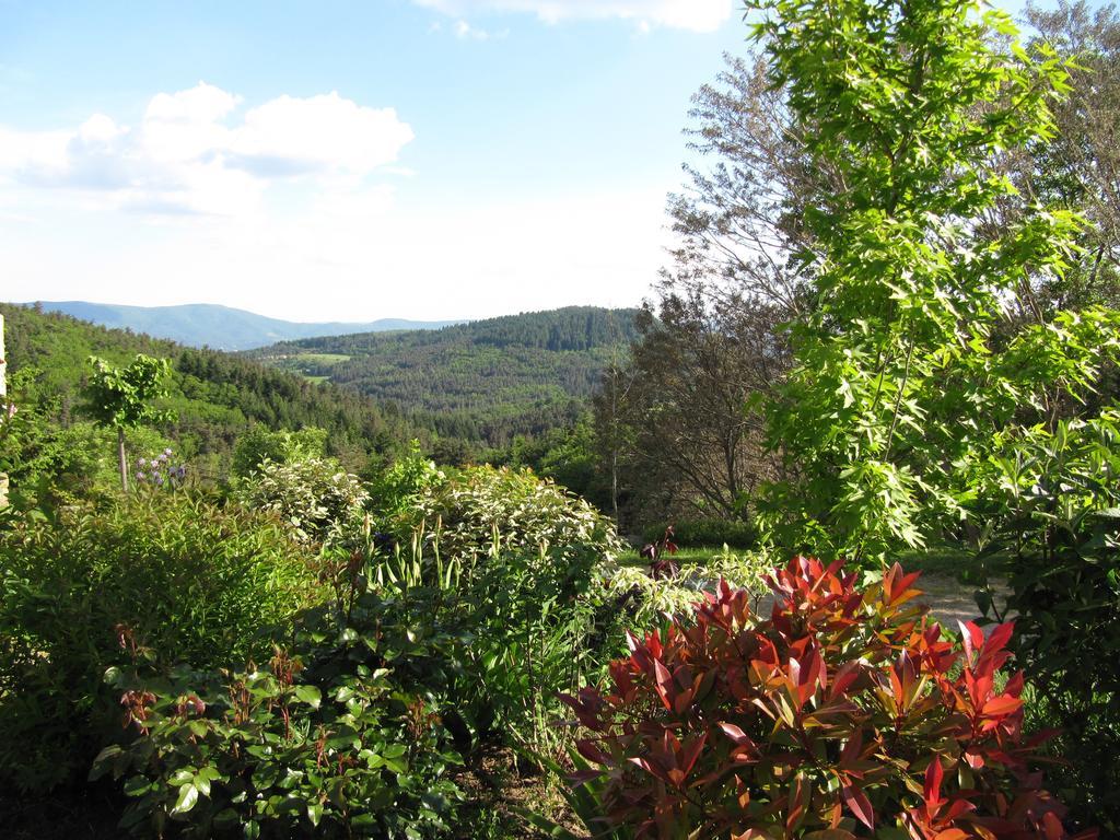 Le Petit Rias Gite Soleil Saint Maurice en Chalencon Luaran gambar