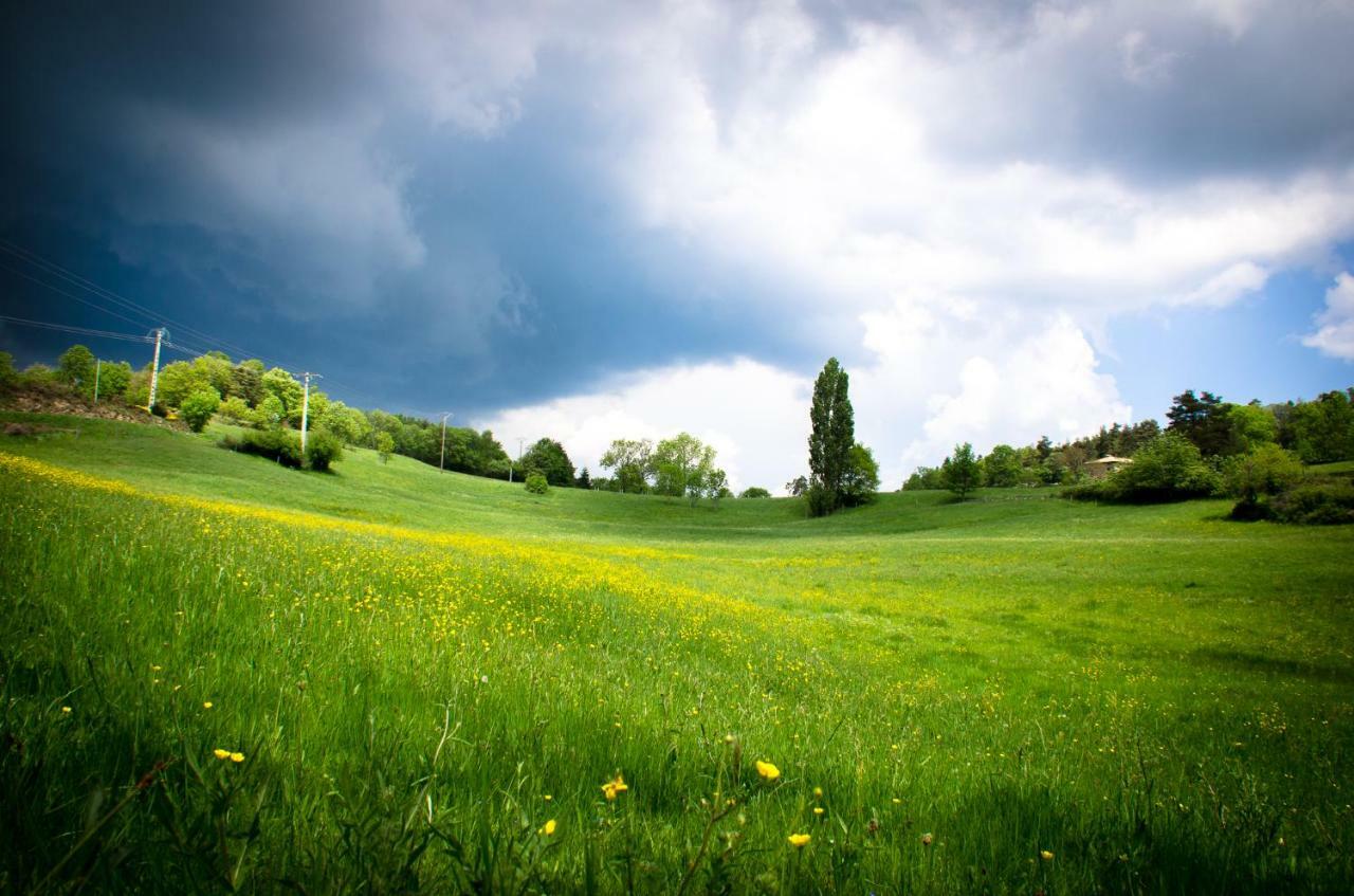 Le Petit Rias Gite Soleil Saint Maurice en Chalencon Luaran gambar